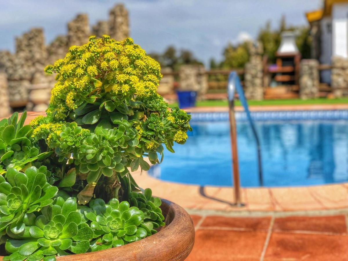 Jarandalus Villa El Gastor Kültér fotó